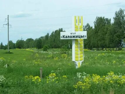 Погода каложицы