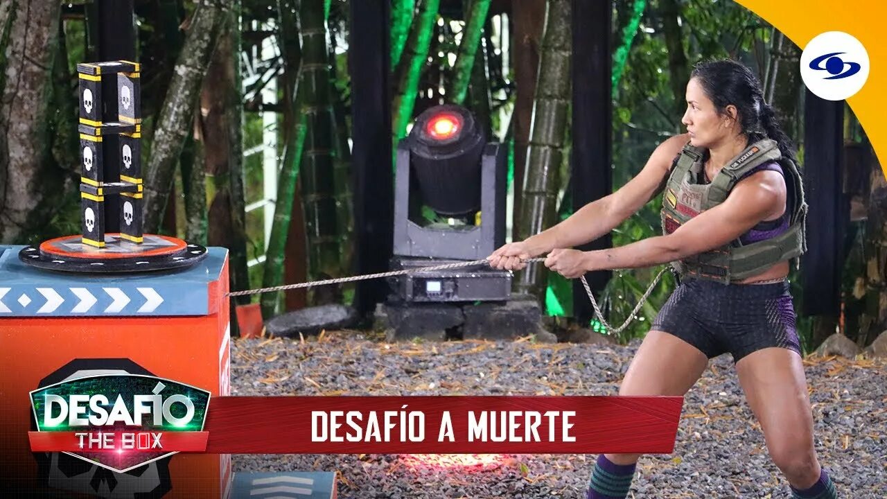 Desafio the box 2025. Desafio the box участники. desafio 2025. desafio the box 2025 участники.