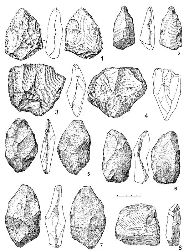 Каменные орудия палеолита. Ранний палеолит орудия труда. Орудия труда палеолит палеолит. Рубило палеолит. Рисунки рубило