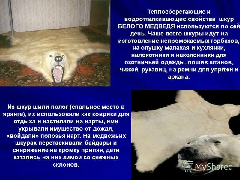 Какую пользу приносит медведь. Медведь и волчица. Медведь подошел к большому дубу. Рассказ о медведе. Презентация про медведя для дошкольников.