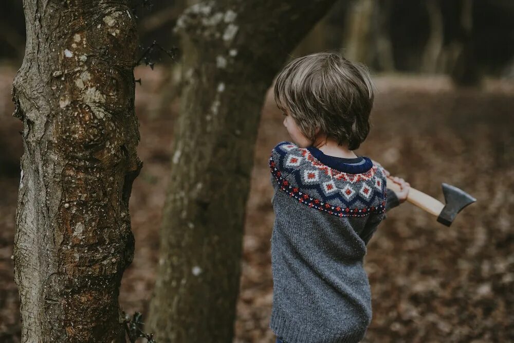 The boy the tree. Березовый сок питер добыча. child holding an axe. to the tree. a boy sleeping with hatchet photo.