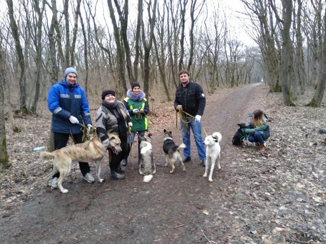 приют для собак в ставрополе. ставропольский приют для животных. приюты в ставрополе с животными. ставропольский приют для животных. ставропольский приют лучший друг.