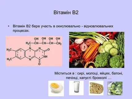 В чем участвуют витамины