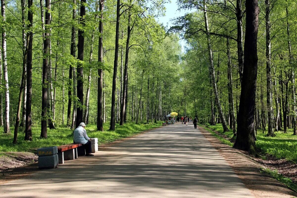 Удельный парк в Санкт-Петербурге. Удельный лесопарк СПБ. Приморский район Питер удельный парк. Парк Сосновка в Санкт-Петербурге. Удельная район спб