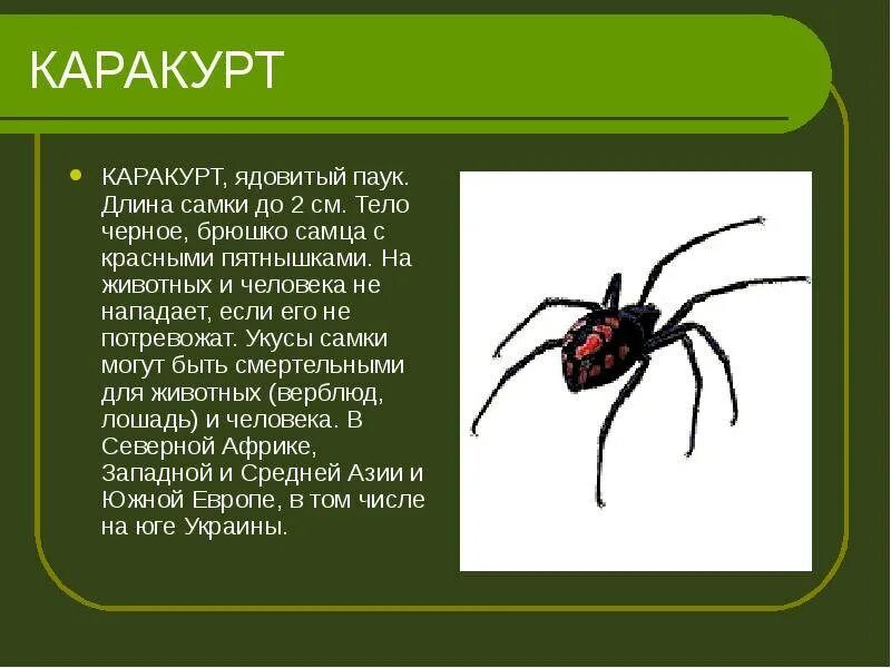 Про самого ядовитого