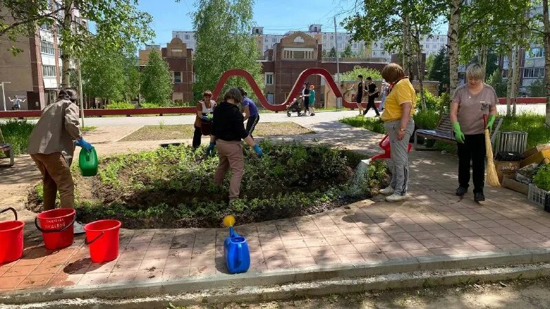 Дом черемушка бузулукский бор. Черёмуха обыкновенная дерево. Парк в волжском. Во дворе черемушка. Черемуха маака цветение.