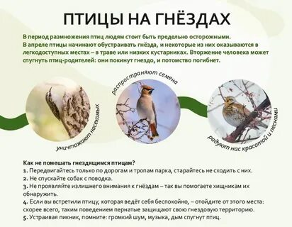 14 апреля международный день