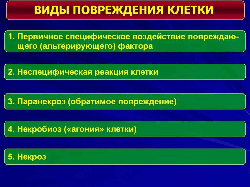 Формы повреждения клеток патофизиология. Специфические механизмы повреждения клетки патофизиология. Специфические проявления повреждения клетки. Специфические формы повреждения клетки.