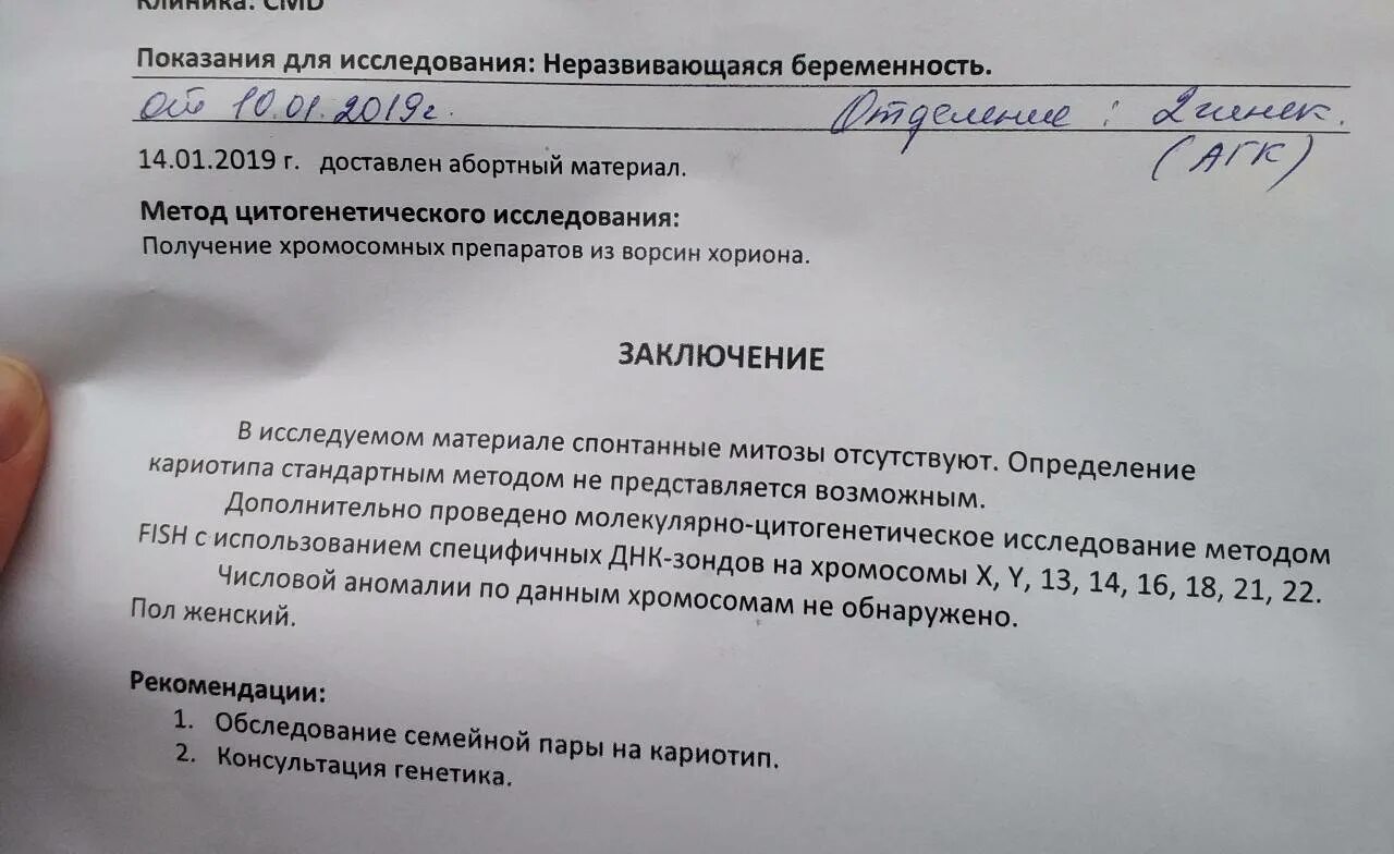 После какого срока беременности. Справка о замершей беременности. Заключение о замершей беременности. Справка о замершей беременности на раннем сроке. Заключение о выкидыше.