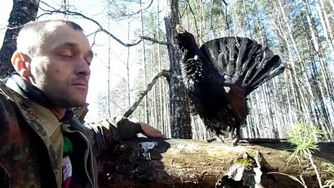 Глухарь слушать