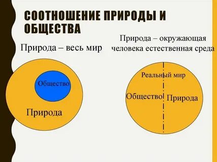 Сообщение на тему человек и природа кратко