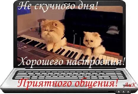 Живые минусовки