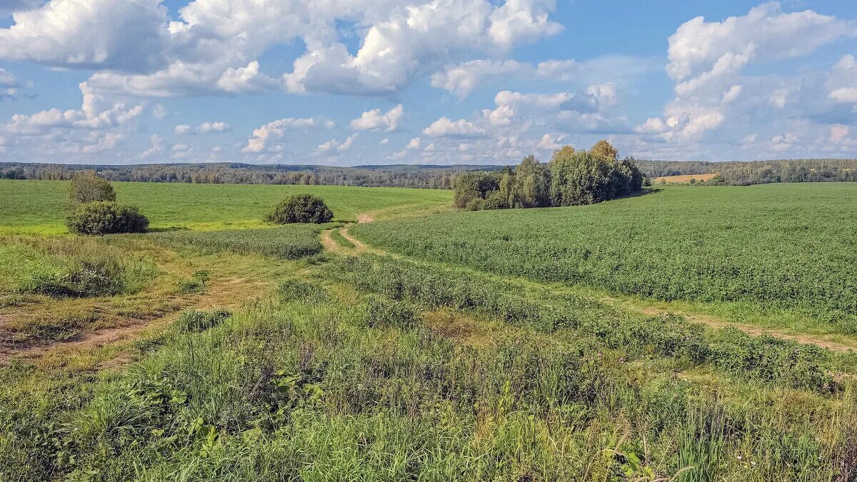 Александр полях энгельс. Сентябрь 2022 природа. Поле александре. Красивое поле в александрове. Поле александре.