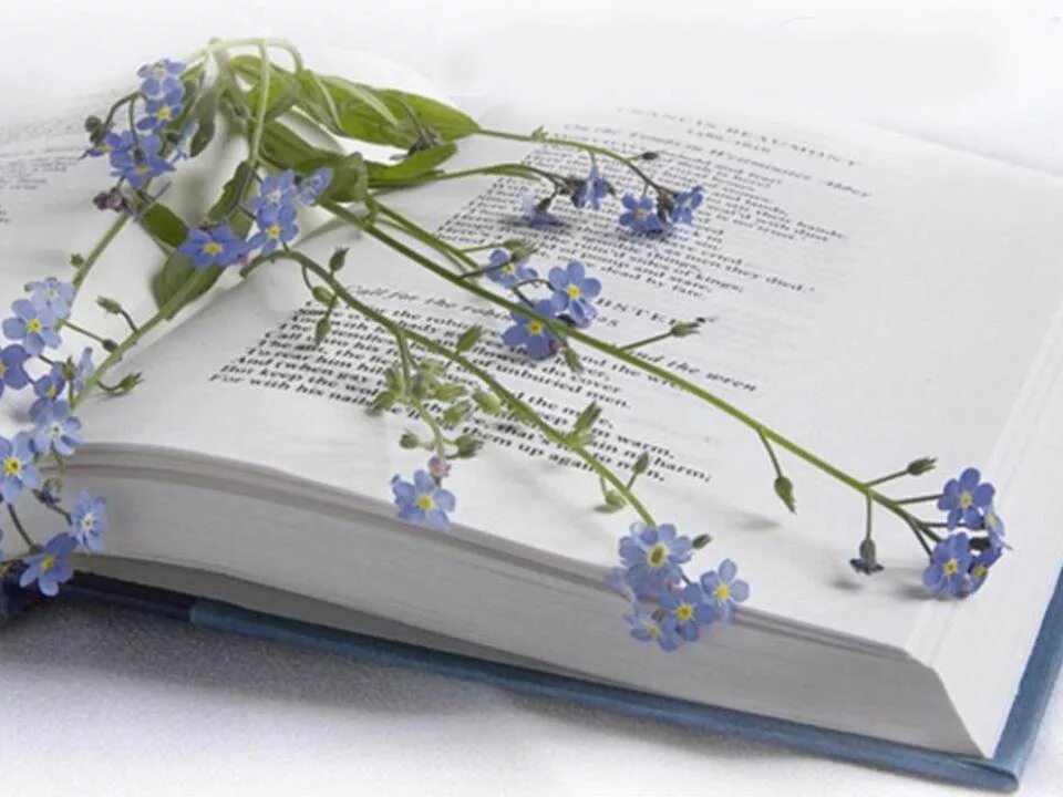 Год в цветах книга. Книга цветы. Поэзия. Современная поэзия. Книга с цветами.