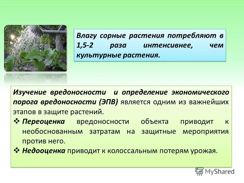 Основы экологии растений, фитоценологии, географии. География растения изучает. Геоботаника. География растений как наука. Историческая география растений.
