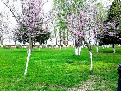Белореченск краснодарский край погода на 10 дней
