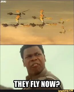 They fly