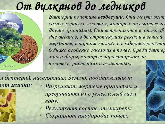 Роль бактерий в природе конспект. Роль бактерий в жизни людей биология 5. Бактерии в природе и жизни человека 5 класс биология. Полезные бактерии в природе. Бактерии в жизни человека сообщение.