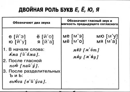 Двойная роль гласных букв