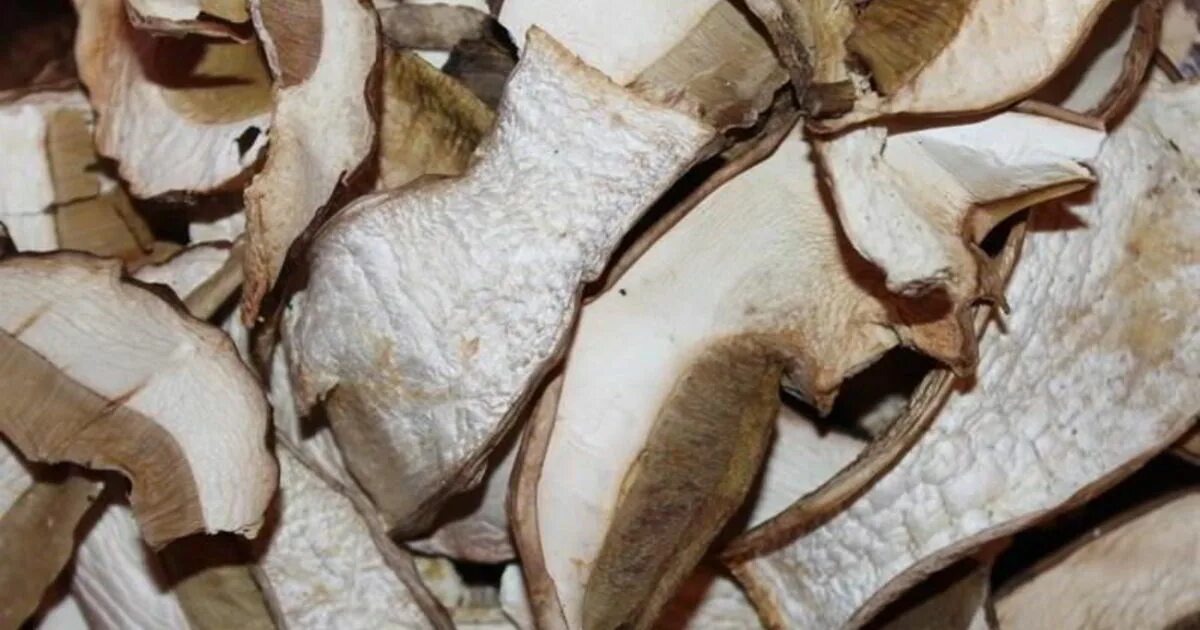 Килограмм сушеных грибов. Сушеные грибы объем. Белый сухой гриб Суханка. Фото сушеных белых грибов.