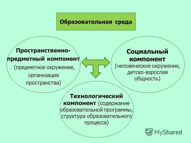 Составляющие предметного содержания деятельности. К предметному содержанию учебной деятельности относится. Предметное содержание свойства учебной деятельности. Программные средства информационной среды. В чем заключаются изменения происходящие.