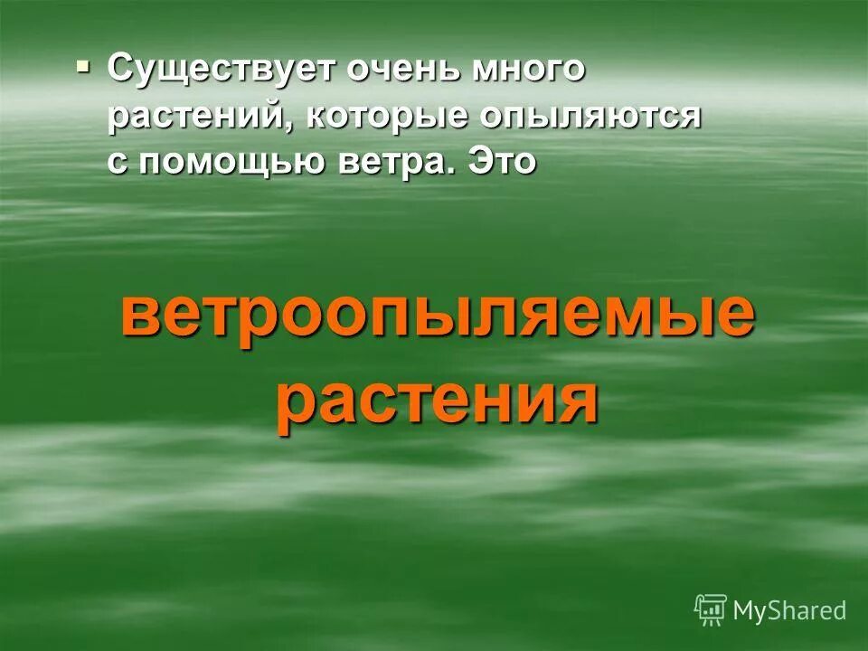 полное исчезновение ощущения. нейтральной зоной называют. существование очень. антон семенов художник gloom82. неопределенность в жизни.