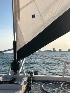 Wild sail