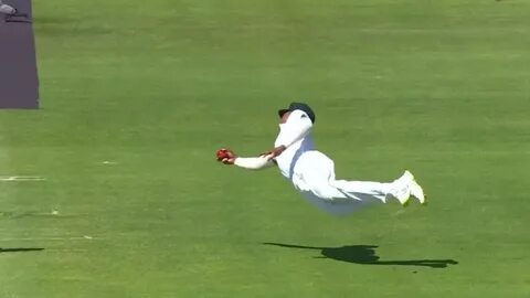 Catch test