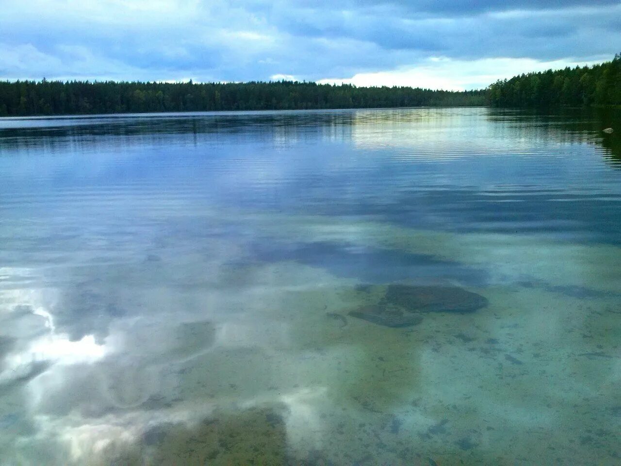 Невское (озеро, Приозерский район). Озеро Белянское Тарасовское. Белянское озеро Ленинградская область. Невское озеро Ленинградская область.