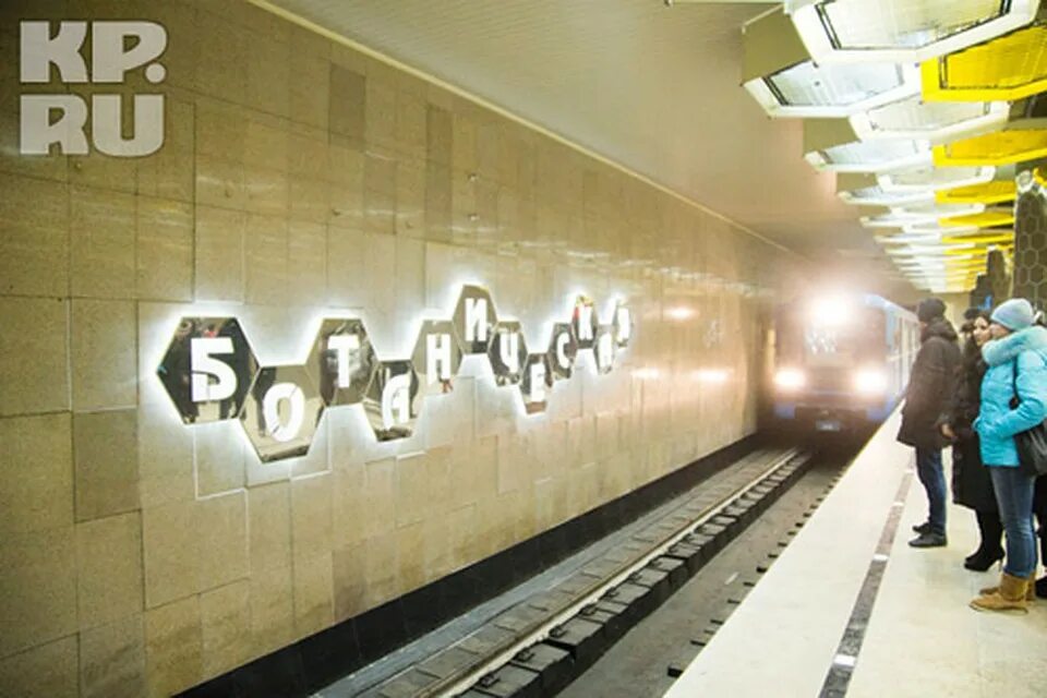 Екб метро ботаническая. Станция ботаническая екатеринбург. Ботаническая станция метро. Ботаническая метро спб. Екб метро ботаническая.