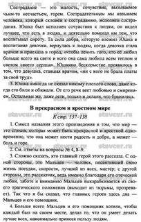 В прекрасном и яростном мире сочинение