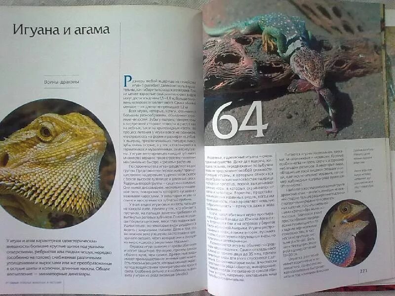 Спасая животных книга. Книги про опасных животных. ядовитые животные книжка. энциклопедия опасных животных.