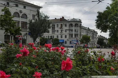 Розы севастополь