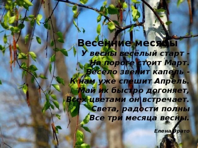 Проект по литературе о времени года. Стих про весну. Проект по литературе о весне.