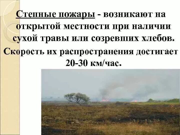 Что происходит при степном пожаре