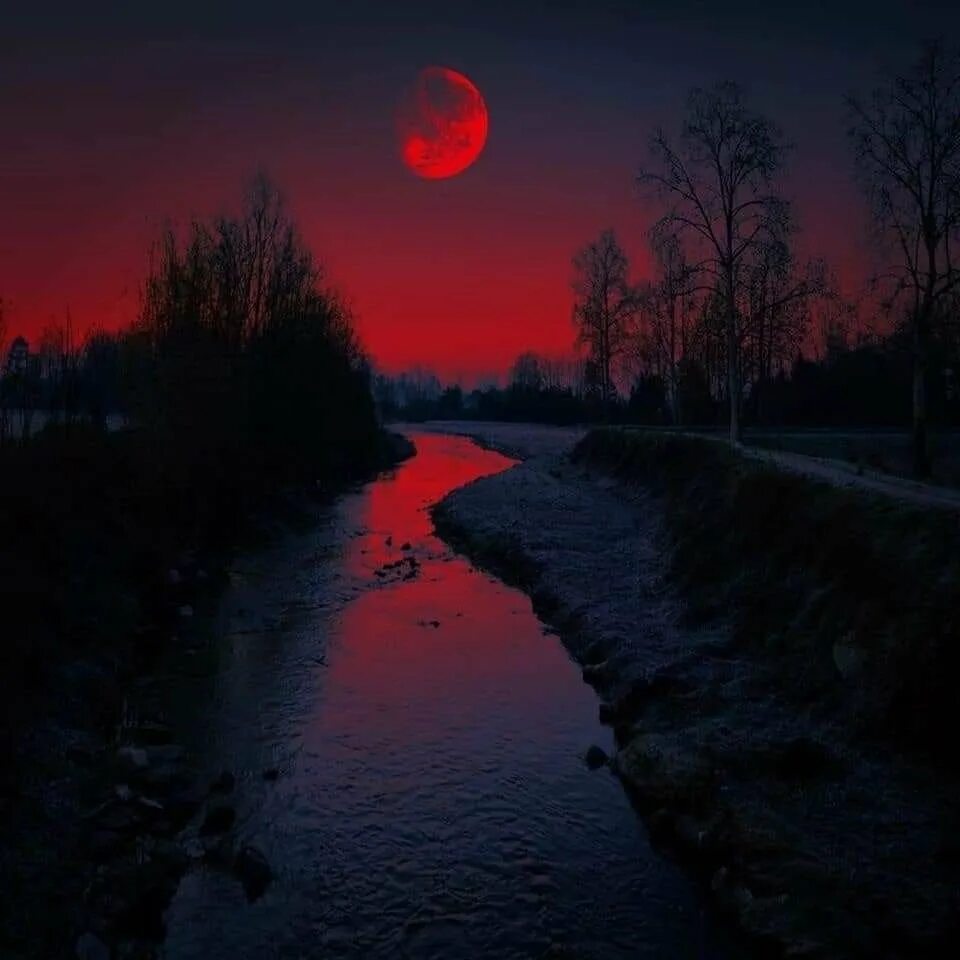 Кровавая Луна. Красная Луна. Ночь кровавой Луны. Ночь красная Луна. Красная пелена
