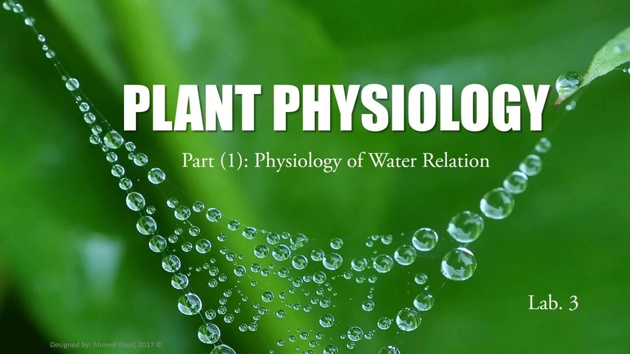 Plant physiology. Физиология растений. Физиология растений фон. Физиология растений картинки. Физиология растений это наука.