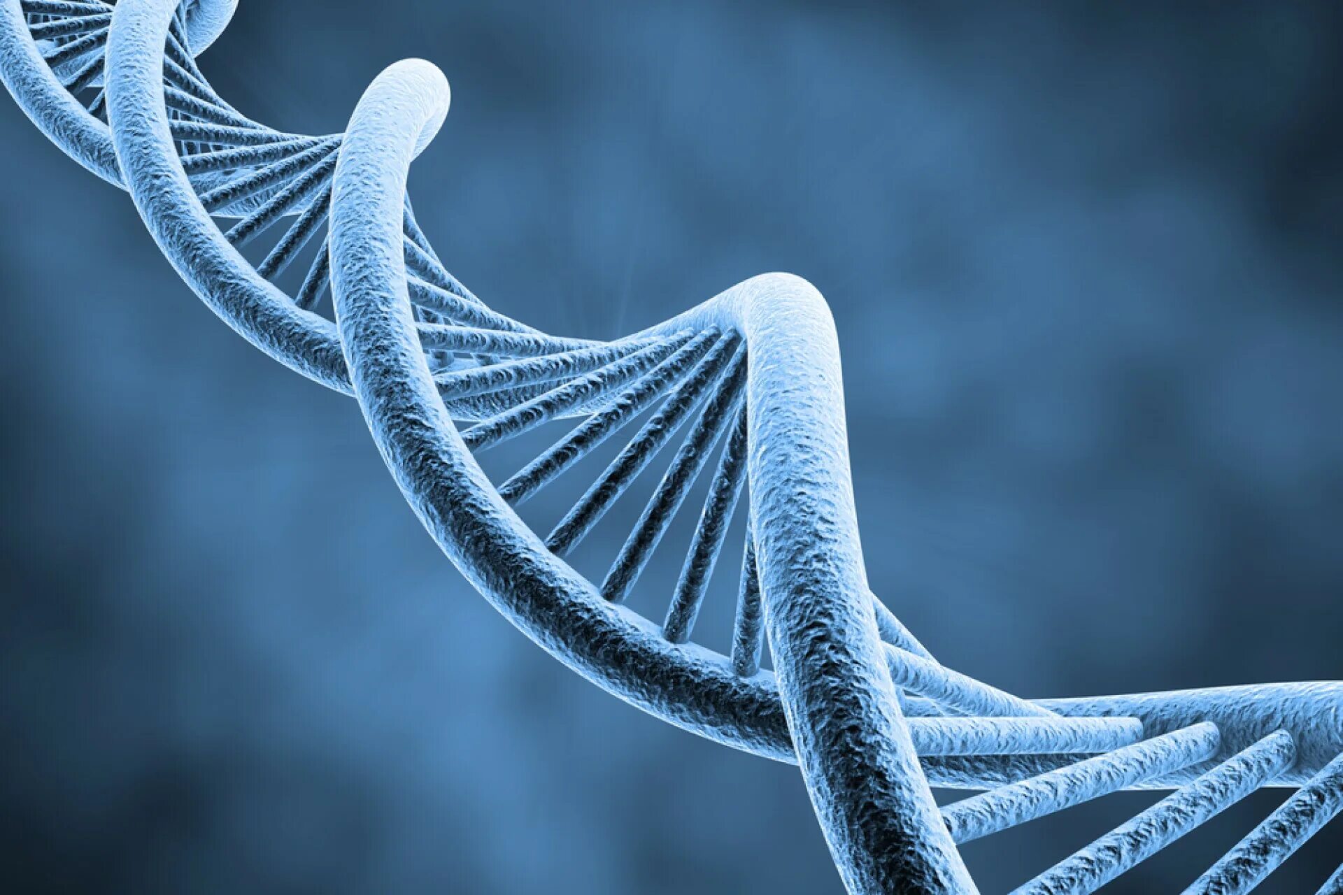 Наследственность ДНК. Геномная ДНК. Генетика наследственность. Спираль ДНК.