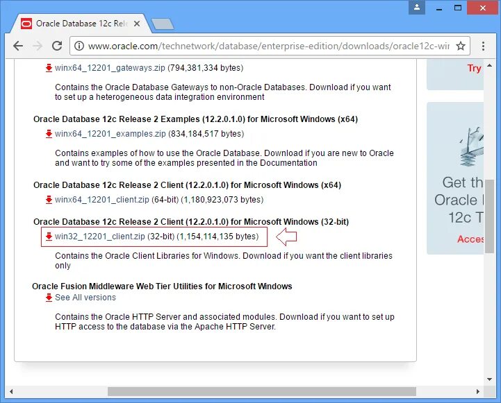 Client 32. Oracle client 12. Oracle 10g client. Oracle client Windows 10. Oracle client 11g -> универсальный установщик.