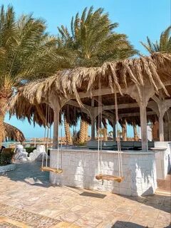 Parrotel beach resort отзывы 2024