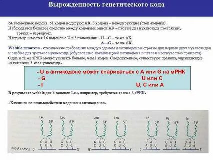 Вырожденность