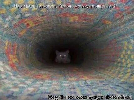 Cat hole