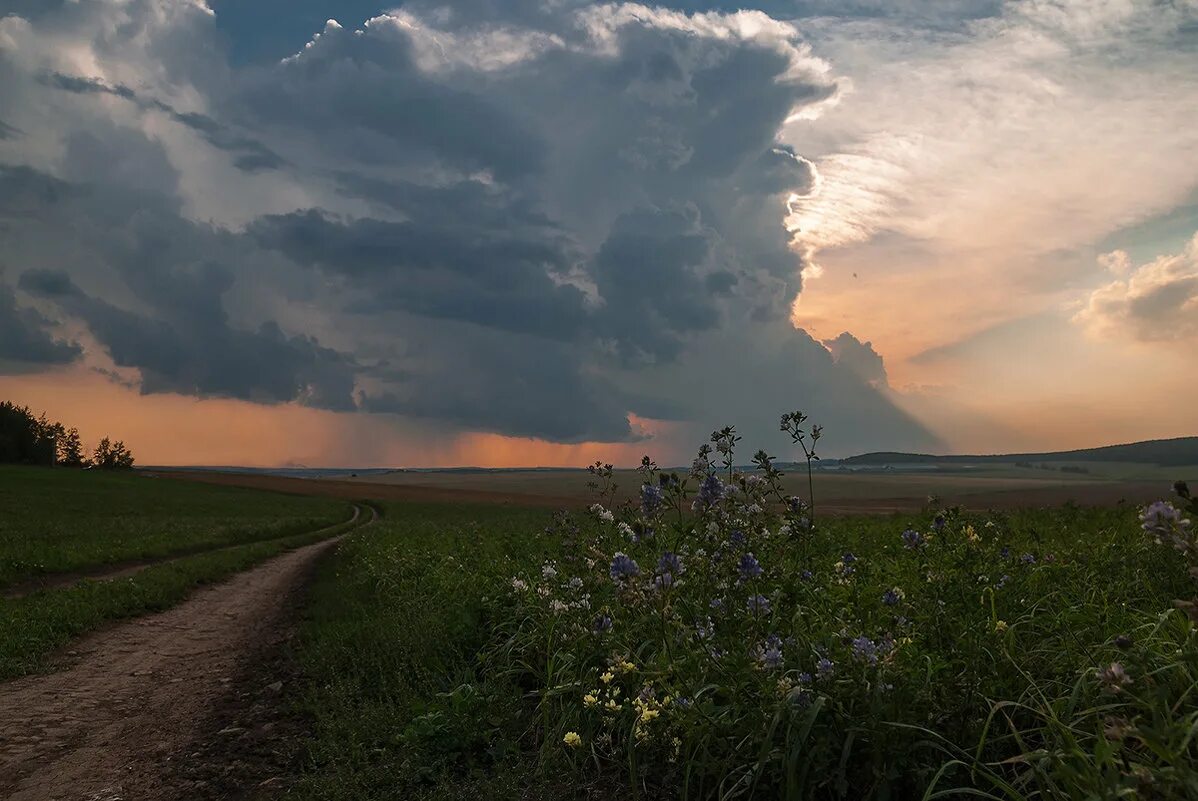 парадиз лесостепь. небо хмурится и сверкают в степи. небо хмурится и сверкают в степи. небо хмурится и сверкают в степи. небо хмурится и сверкают в степи.