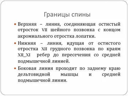Верхняя граница плеча