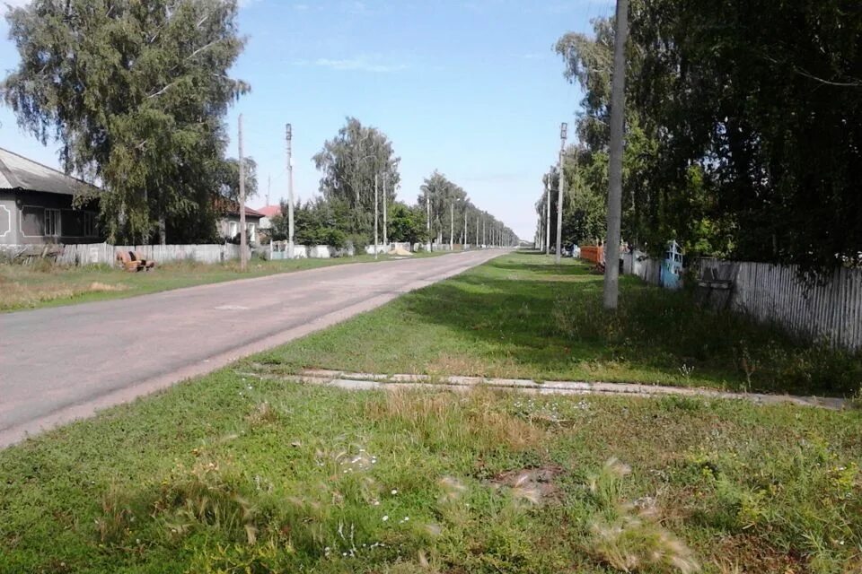 Село полевое немецкий национальный. Село полевое свердлов. Село полевое немецкий национальный. Село редкая дубрава алтайский. Село орлово алтайский край немецкий национальный.