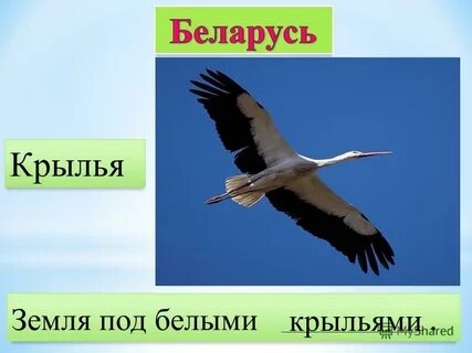 Земля под белыми