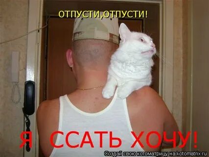 Отпусти не пущу ну