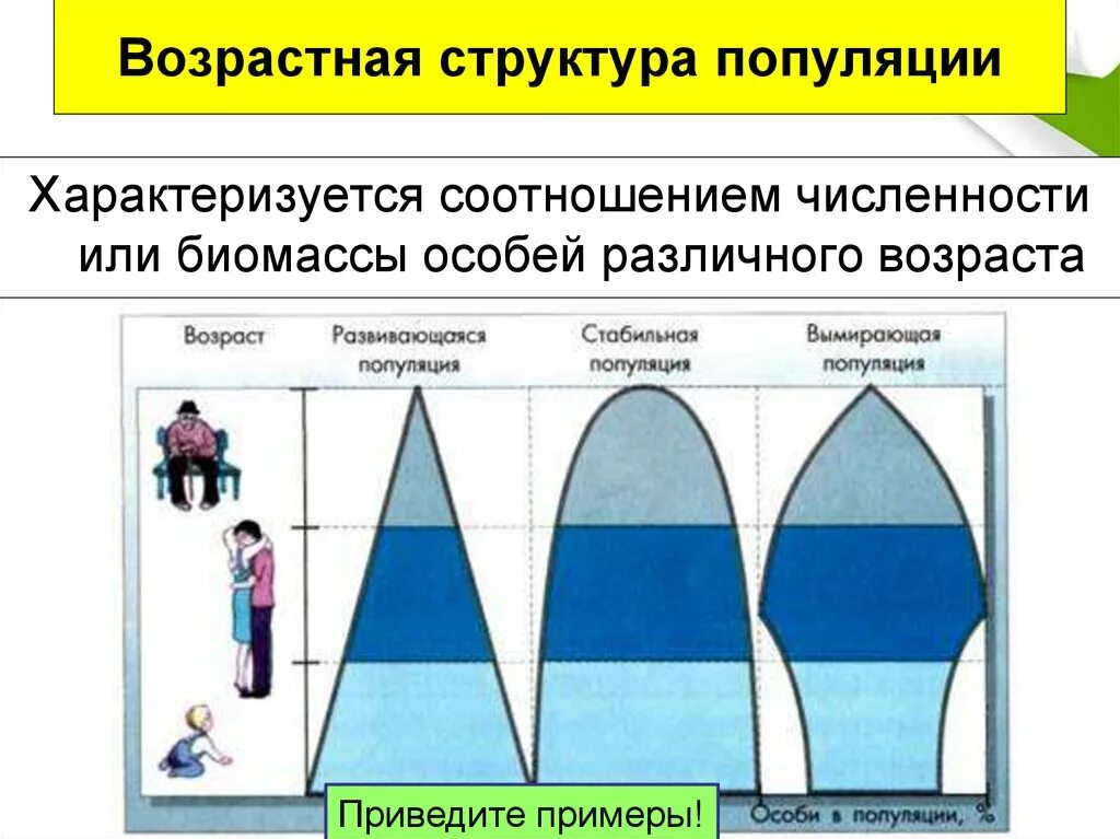 Характеристика возрастной структуры популяции