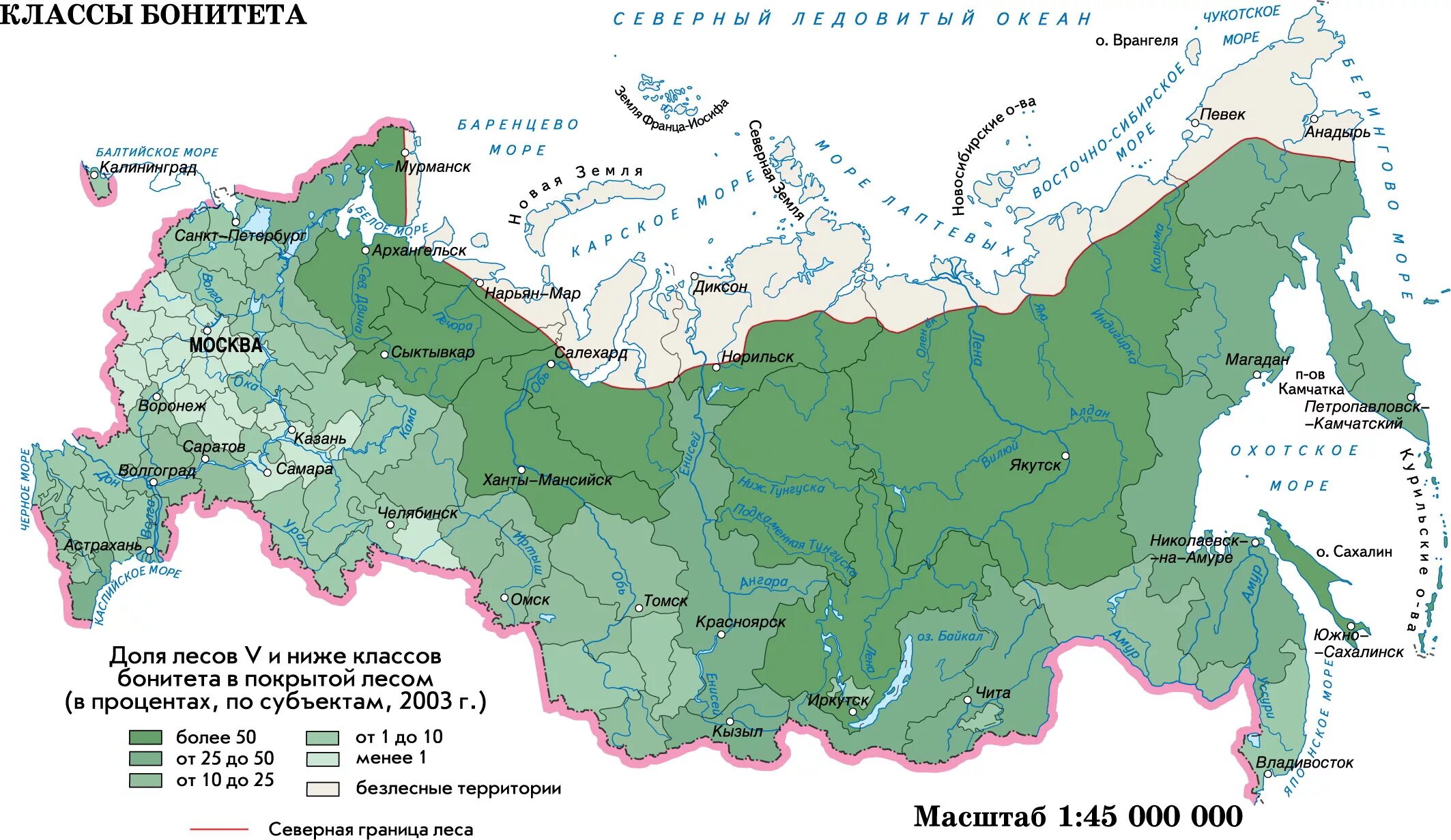 Где находится хвойный. Карта плотности лесов России. Карта лесного хозяйства России. Площадь лесов России на карте. Типы лесов в России карта.