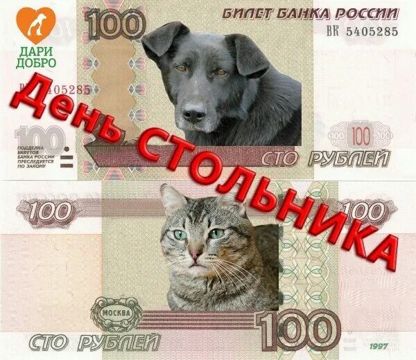 Как звали стольника который в 1673 году. День стольника. день стольника картинки. акция день стольника. день стольника для животных.